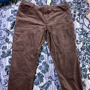 American eagle velvet super stretch jeans